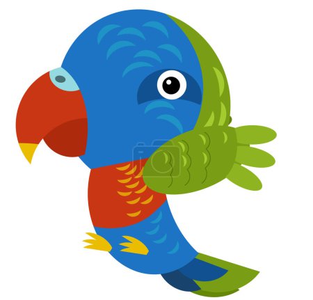 Téléchargez les photos : Dessin animé perroquet animal australien sur fond blanc illustration pour enfants - en image libre de droit
