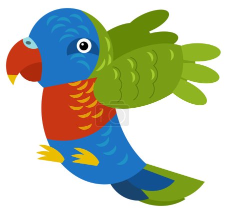 Photo for Cartoon australian animal bird parrot on white background illustration for kids - Royalty Free Image