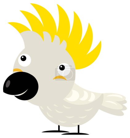Téléchargez les photos : Caricature asiatique animal oiseau cacatoès safari isolé illustration pour enfants - en image libre de droit