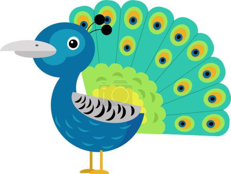 Téléchargez les photos : Scène de dessin animé avec paon animal oiseau stading heureux et fier illustration isolée pour les enfants - en image libre de droit