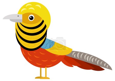Téléchargez les photos : Caricature asiatique animal oiseau faisan nature zoo isolatedillustration pour les enfants - en image libre de droit