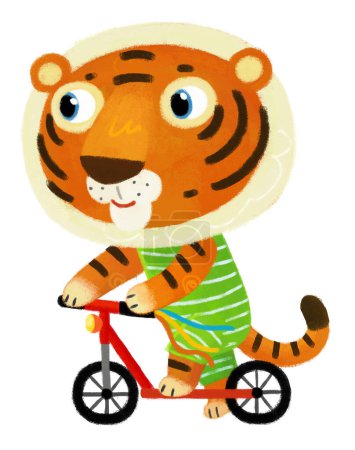 Photo for Cartoon scene with happy little boy tiger cat having fun riding scooter on white background illustration for kids - Royalty Free Image