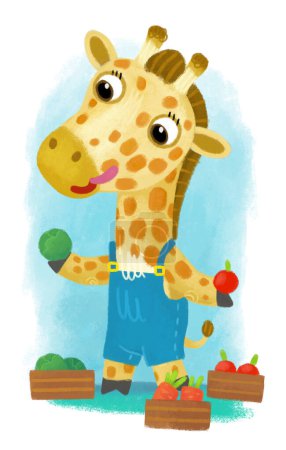 Photo for Cartoon scene with wild animal giraffe doing things like human on white background illustration for kids - Royalty Free Image