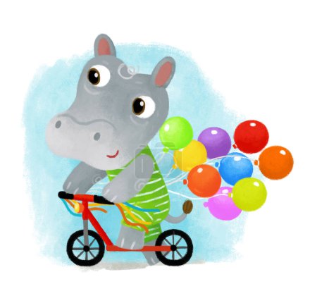 Photo for Cartoon scene with happy little boy hippo hippopotamus having fun riding scooter on white background illustration for kids - Royalty Free Image