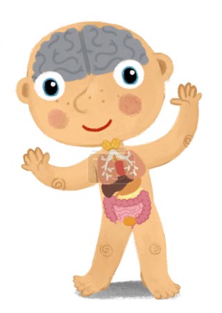 escena de dibujos animados con niño como modelo de anatomía de las partes del cuerpo sobre fondo blanco ilustración para niños
