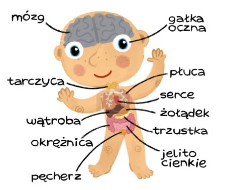 Cartoon-Szene mit kleinen Jungen als Anatomie-Modell von Körperteilen auf weißem Hintergrund für Kinder