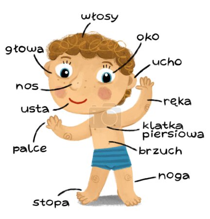 Foto de Escena de dibujos animados con niño como modelo de anatomía de las partes del cuerpo sobre fondo blanco ilustración para niños - Imagen libre de derechos