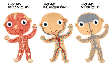 Cartoon-Szene mit kleinen Jungen als Anatomie-Modell von Körperteilen auf weißem Hintergrund für Kinder