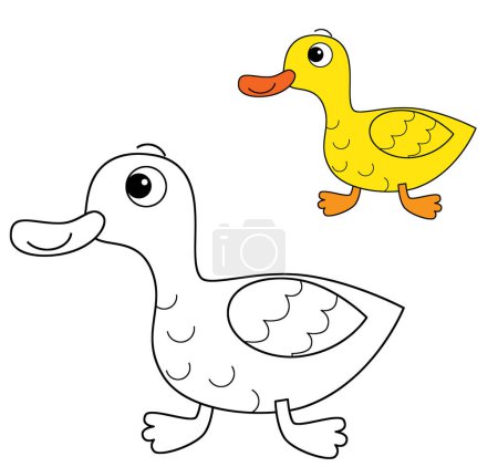 Téléchargez les photos : Dessin animé heureux animal de ferme joyeux canard oiseau courir fond isolé avec dessin croquis avec illustration aperçu coloré pour les enfants - en image libre de droit