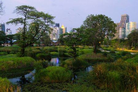Foto de Zona pantanosa salvaje del gran parque Benchakitti en el moderno centro de Bangkok. - Imagen libre de derechos