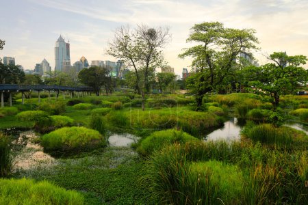 Wildes Sumpfgebiet des großen Benchakitti-Parks im modernen Zentrum Bangkoks.