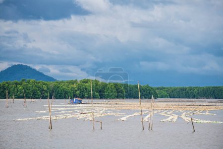 Foto de Cabaña flotante en la granja de ostras por bosque de manglares en, Laem Sing, Chanthaburi, Tailandia - Imagen libre de derechos