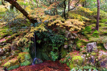 Photo for Small waterfall with red falling maple leaf in Ginkakuji temple in Kyoto, Japan. Famous travel destination in fall season at kansai. - Royalty Free Image
