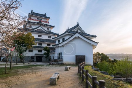 Karatsu castle with white sakura and city view at sunset, Saga, Japan. Here is seaside castle known as the Dancing Crane.