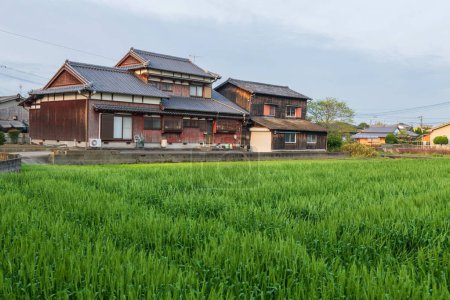Casa de madera de granjero por arrozal en la ciudad de Yanagawa, Fukuoka, Japón. Industria agraria.