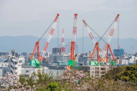 crane construction by the sea with pink cherry blossom at Hataka Fukuoka port, Kyushu, Japan. Famous travel destination to visit largest reclining Buddha statue.