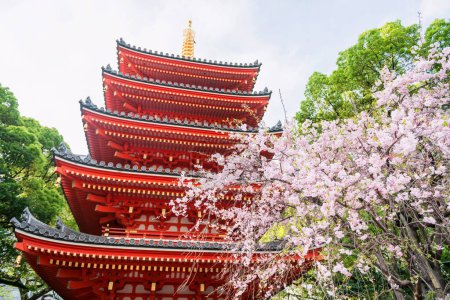 Kirschsakura-Blüte an der roten Pagode des Tochoji Tempels im Frühling, Fukuoka, Kyushu, Japan. Berühmtes Reiseziel, um schöne buddhistische Architektur im Stadtgebiet von Hakata zu sehen.