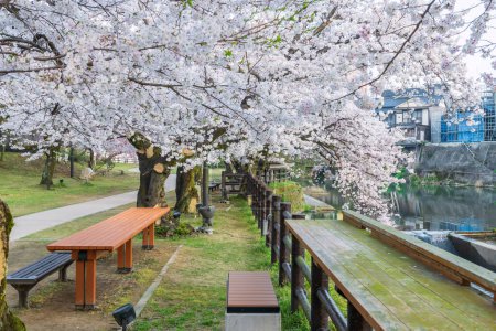 Relax seat at Ureshino Onsen Park by river with white cherry blossom of sakura tree, Saga, Kyushu, Japan. Famous travel destination for spa area with hot springs.