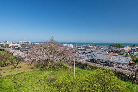 Aerial cityscape of city and sea with cherry blossom against blue sky in spring from Shimabara Castle, Nagasaki, Kyushu, Japan. Famous travel destination located by Ariake Bay and Mount Unzen.