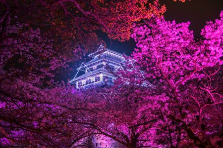 Der rosafarbene Kirschsakura-Baum leuchtet und das Fukuoka-Schloss zerstört Illusionen im Maizuru-Park, Fukuoka, Kyushu, Japan. Berühmtes Reiseziel für Illumination Garden in der Nacht im Frühling.