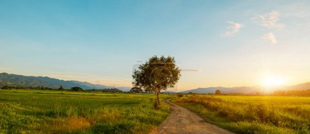 Dirt road, Country road and green farmland natural scenery at sunrise or sunset sky background.