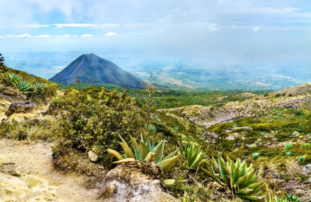 Foto de Volcán Izalco desde el Parque Nacional Cerro Verde en El Salvador, Centroamérica - Imagen libre de derechos