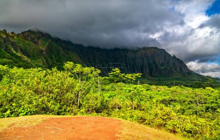 Hoomaluhia Botanical Garden with views of Koolau mountains on Oahu island, Hawaii