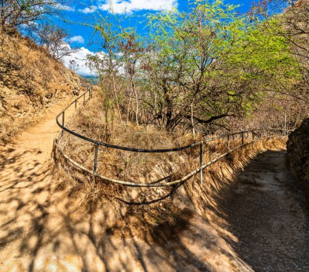 Téléchargez les photos : Diamond Head Lookout Trail sur l'île d'Oahu à Hawaï - en image libre de droit