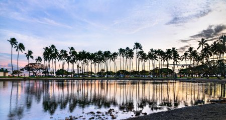 Sonnenuntergang über Palmen am Ala Moana Beach in Honolulu, Hawaii, USA