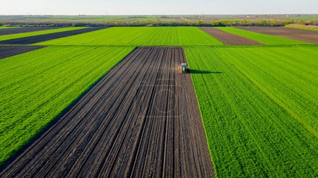 Au-dessus de vue, du tracteur comme tirant la machine de semis mécanique sur le champ arable, le sol, la plantation de nouvelles cultures céréalières, le maïs, le maïs.