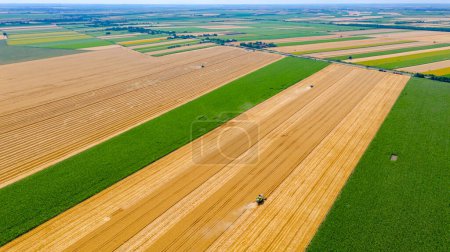 Photo for Above high view, over several harvesters, combines are cutting and harvesting mature wheat on farmland, divided agricultural fields. Harvest time in summer - Royalty Free Image