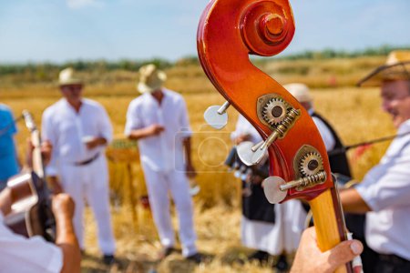 Photo for Close up shot on part of contrabass, headstock with tuning keys. Musician contrabassist plays double bass for happiness and success before farmers begin reaping grain manually in traditional rural way - Royalty Free Image
