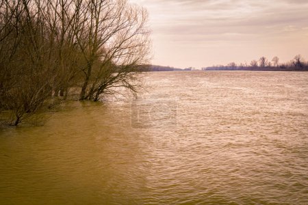 Breiter Fluss hat Waldboden in der Nähe der Flussküste überflutet, Landschaft mit Wasserfluten.