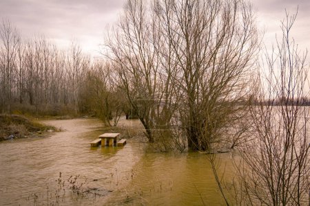Large rivière a inondé le sol forestier près de la côte de la rivière, paysage avec des inondations d'eau.