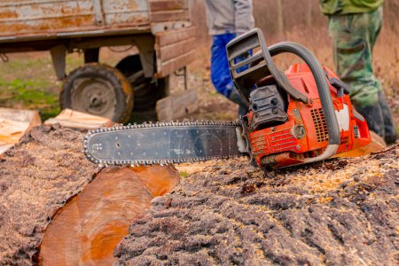 Used professional chainsaw placed on freshly cut stump of tree in forest, lumber texture, wooden, hardwood, firewood