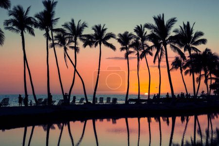 Photo for Palm tree reflection and sunset at Waikoloa beach - Royalty Free Image