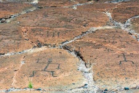 Photo for Rocks covered in petroglyphs carved by native hawaiian - Royalty Free Image