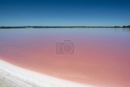 Foto de Estanque de sal rosa listo para la cosecha - Imagen libre de derechos