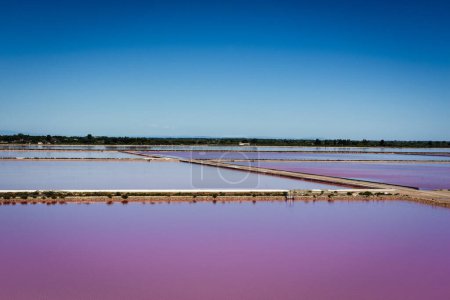 Foto de Estanque de sal rosa geométrico cerca de Arles, Francia - Imagen libre de derechos