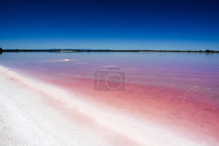 Foto de Playa de sal y agua rosada cerca de Arles, Francia - Imagen libre de derechos