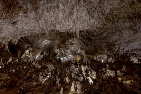 The big room inside carlsbad cavern national park