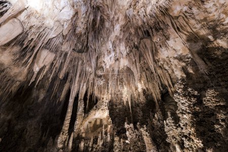 The chandelier's stalctites hanging on the ceiling of Carlsbad cavern