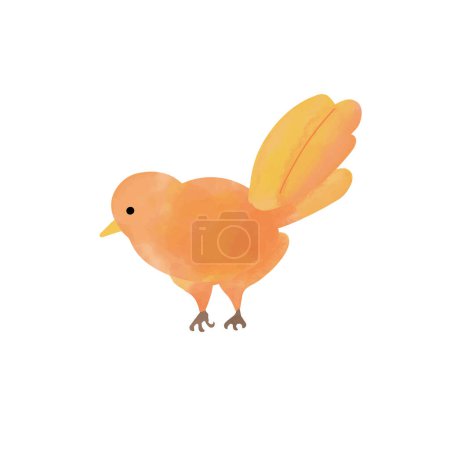 Foto de Lindo pájaro naranja de dibujos animados aislado sobre fondo blanco. Ilustración en acuarela. - Imagen libre de derechos