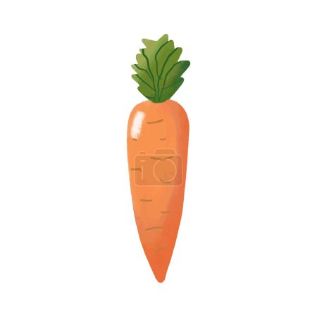 Foto de Icono de zanahoria. Ilustración de dibujos animados del icono del vector zanahoria para el diseño web - Imagen libre de derechos
