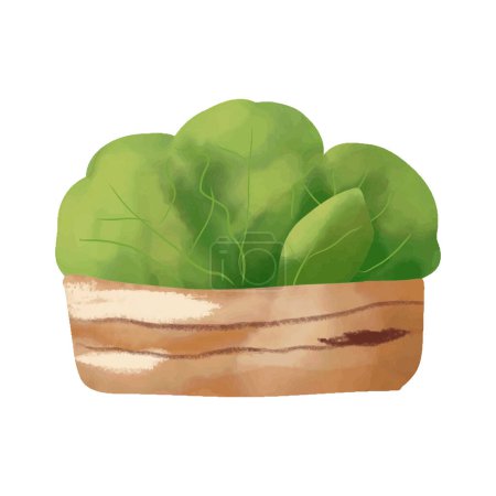 Foto de Ilustración en acuarela de lechuga verde en una caja de madera sobre fondo blanco - Imagen libre de derechos