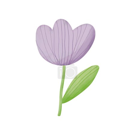 Foto de Hermosa flor de tulipán púrpura aislada sobre fondo blanco. Ilustración vectorial - Imagen libre de derechos