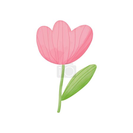 Foto de Hermosa flor de tulipán rosa aislada sobre fondo blanco. Ilustración vectorial - Imagen libre de derechos