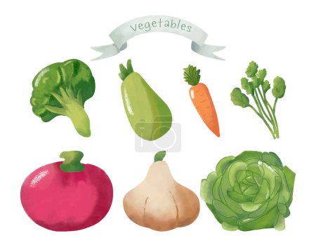 Foto de Conjunto de verduras dibujadas a mano sobre fondo blanco. Ilustración vectorial. - Imagen libre de derechos