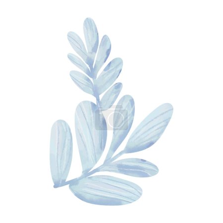 Foto de Sandía de hoja azul aislada sobre fondo blanco - Imagen libre de derechos