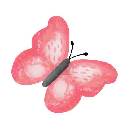 Foto de Mariposa rosa acuarela sobre blanco - Imagen libre de derechos
